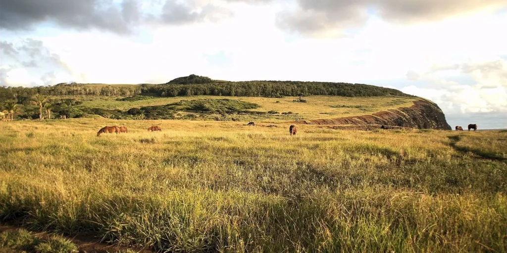 Omgeving Ana Kai Tangata | Pacific Island Travel